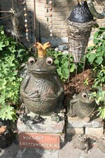 Der Froschkönig und sein Harem.