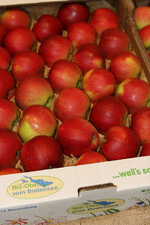 Die Vorzeichen für einen guten Bioapfelmarkt stimmen: Die Ernte fiel kleiner aus als im Vorjahr und die Nachfrage nach Bioäpfeln steigt stetig.