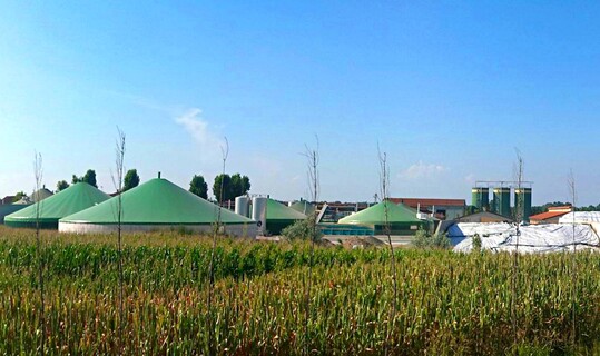 Biogasanlage mit Maisfeld und Maissilo.
