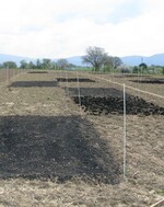 Schachbrett: Auf den Versuchsflächen in March und Forchheim wurden verschiedene Szenarien durchgespielt: In zehn Kombinationen von Biokohle, Restbiomasse und Dünger wurden die Bodeneigenschaften und das Pflanzenwachstum von Weizen und Mais untersucht.