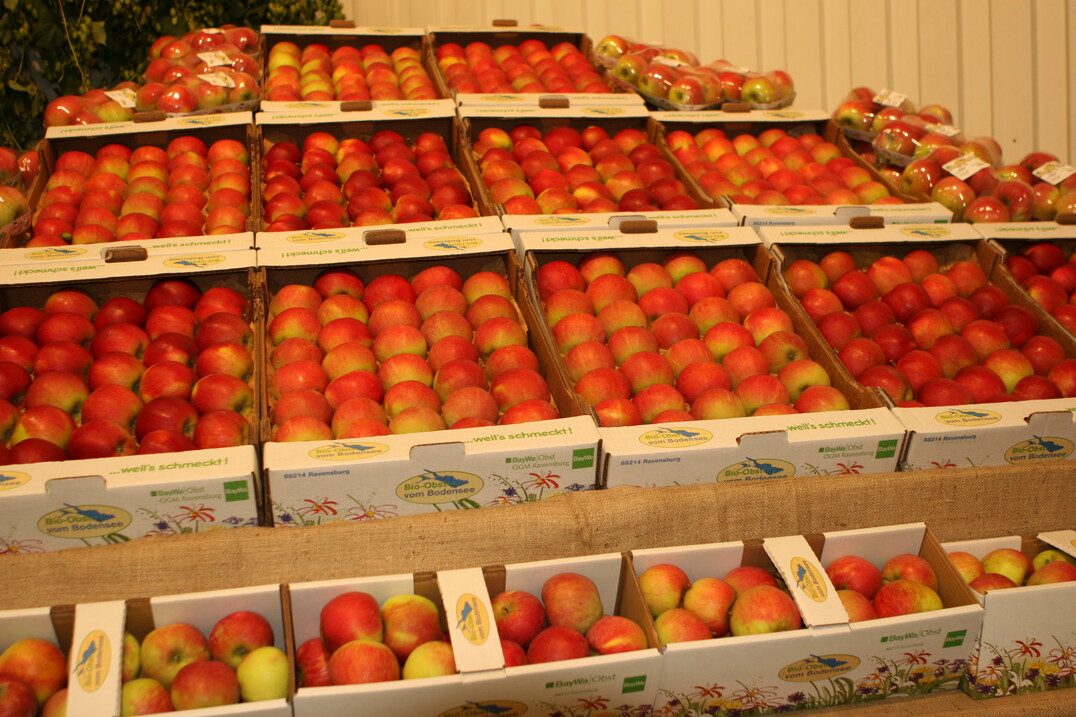 Durch gute Marktstrukturen knnen sich Biopfel aus Deutschland gut gegen Importware behaupten. 