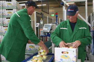 Bei Kontrollen von Bio-Obst aus Baden-Wrttemberg wurden keine Rckstnde von chemisch-synthetischen Pflanzenschutzmitteln gefunden. 