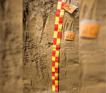 Goethit verleiht den Böden der gemäßigten Klimazone ihre charakteristische Färbung.