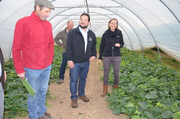 Landwirtschaftsminister Alexander Bonde (m.) ist zu Besuch auf dem Gemsebaubetrieb von Beate und Jrg Hrz in Filderstadt. 