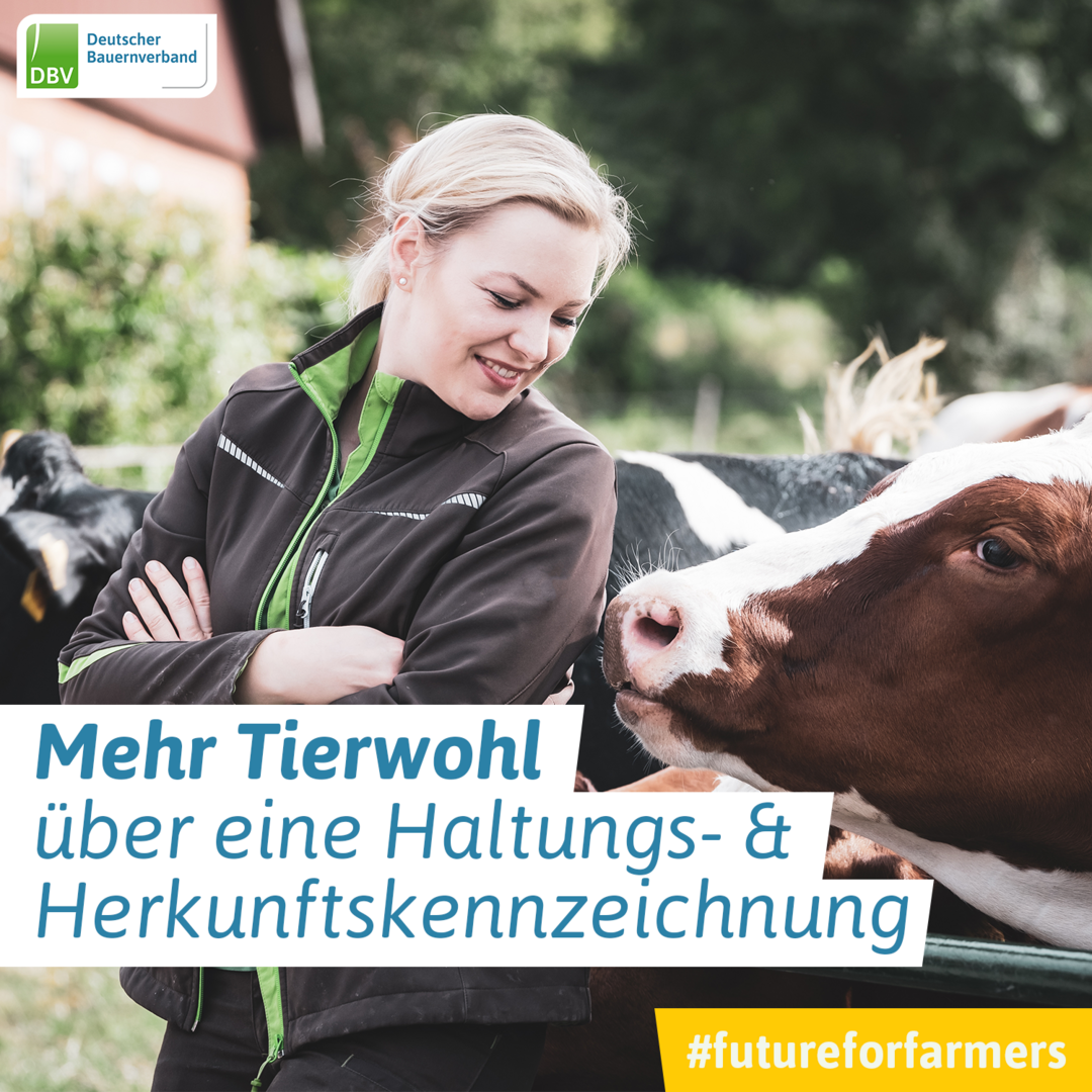 farmersforfuture - Kampagne anlsslich der Agrarministerkonferenz in Deutschland