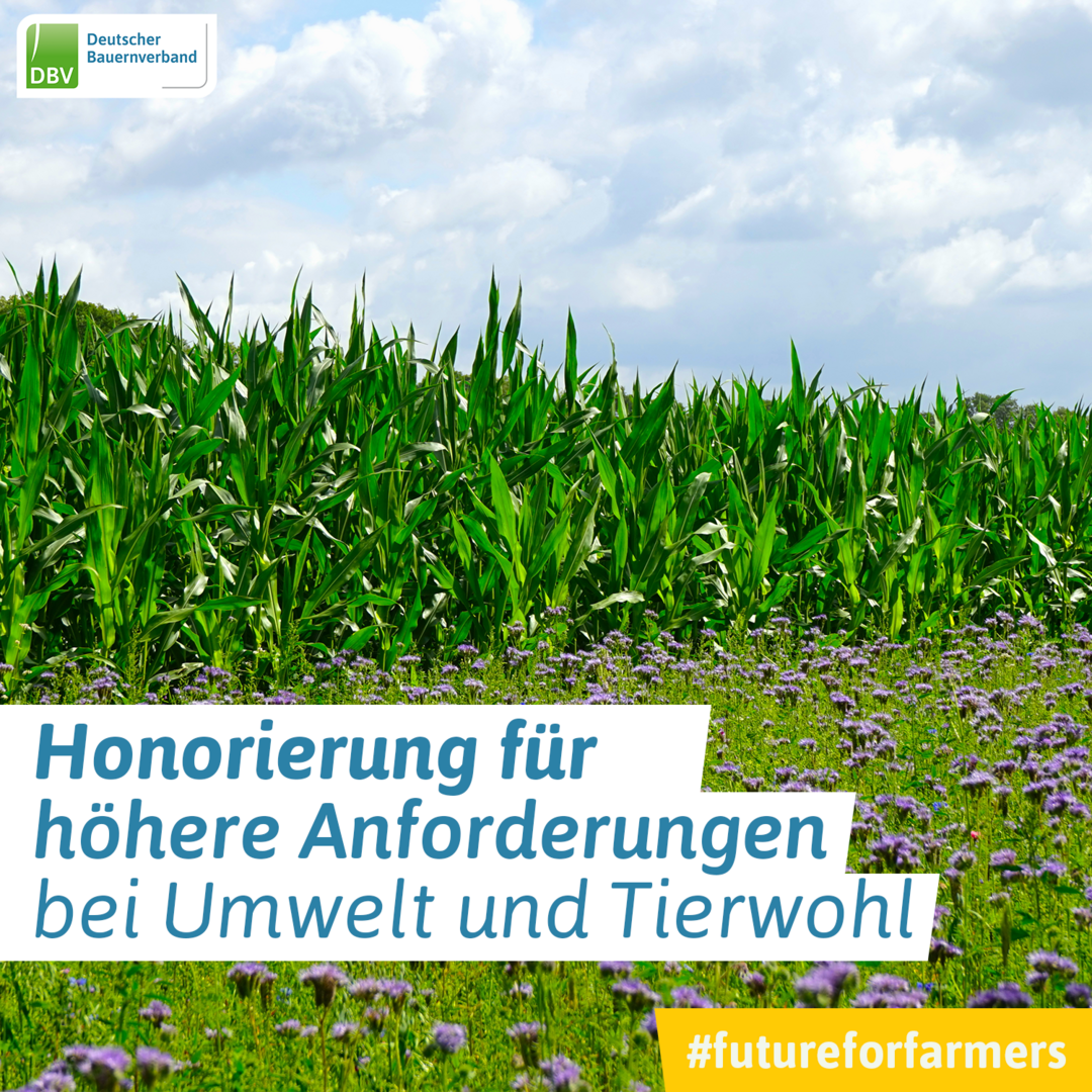 farmersforfuture - Kampagne anlsslich der Agrarministerkonferenz in Deutschland