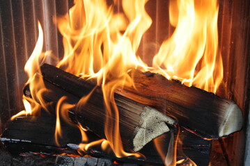 Die Holzenergie ist deutlich klimaschonender als behauptet wird.