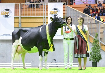 Bei den Holsteinkhen siegte die Zweitkalbskuh Rihanna aus der Zucht von Markus und Kerstin Mock in Markdorf 