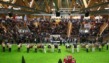 Am 14. Mrz 2010 findet wieder eine gemeinsame Landesschau der Rassen Fleckvieh, Holsteins und Braunvieh in der Arena Hohenlohe in Ilshofen statt.