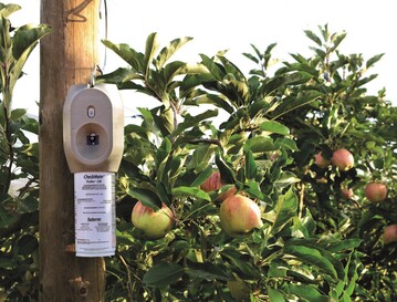 Mit dem CheckMate-Puffer lsst sich der Apfelwickler zeitsparend und umweltschonend eindmmen. Neben der Verwirrtechnik mit den Dispensern, wie hier im Bild zu sehen, kann der Apfelwickler auch mit Granuloseviren biologisch bekmpft werden. Eingesetzt werden dabei Madex MAX oder Madex TOP.