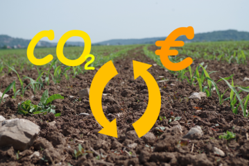 Landwirte erzeugen Carbon Credits, die von Unternehmen gekauft werden können, um den eigenen Ausstoß von Treibhausgasen zu kompensieren.