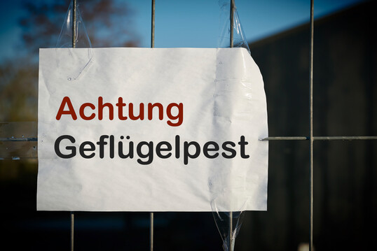 Veterinrkontrollen und strikte Hygieneregeln sind entscheidend, um eine Ausbreitung der Geflgelpest im Betrieb zu verhindern.<br>