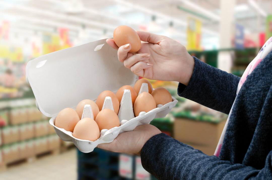 2022 wurden in keiner der 24 als Bio-Eier deklarierten Proben synthetische Carotinoide nachgewiesen. 