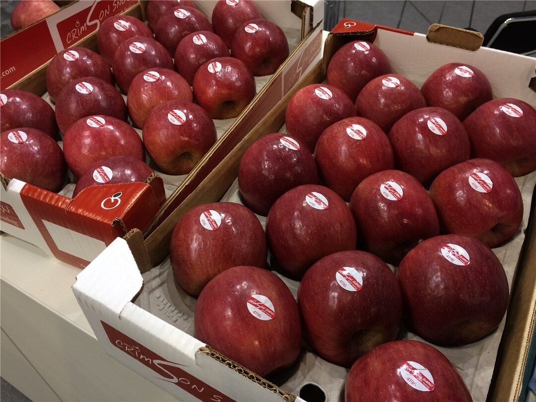 Mit ihrer purpurroten Farbe besticht die neue Clubsorte Crimson Snwo, die künftig unter dem Dach der Südtiroler VOG mit angebaut wird.
