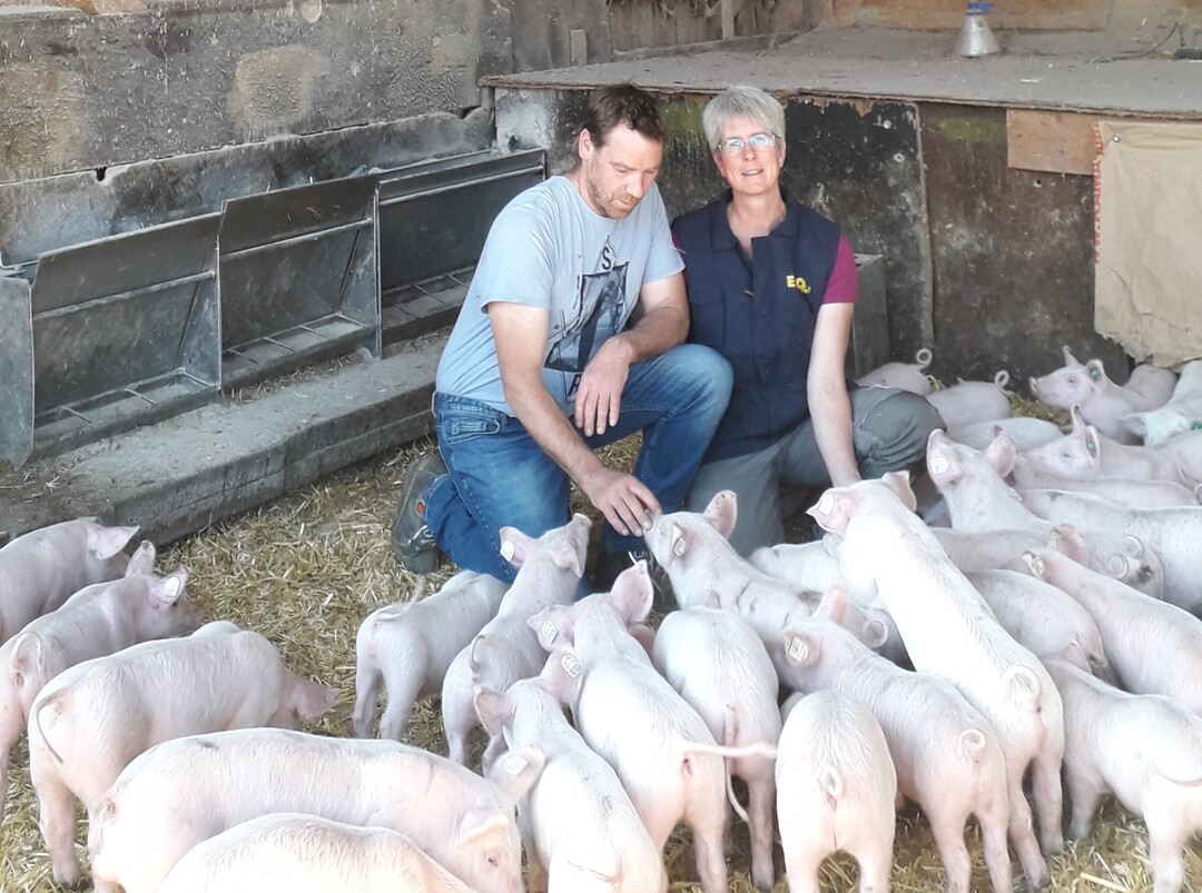 Sibylle Karsch bewirtschaftet mit ihrem Mann Christian Karsch in Grosselfingen (Landkreis Zollernalb) einen Ferkelerzeugerbetrieb mit 70 Zuchtsauen. Seit 2016 gehören sie der EZO an und ziehen Ferkel für das Hofglück-Programm von Edeka Südwest auf.