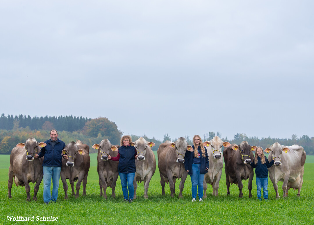 ber 100.000 Kilogramm Milch knnen diese Khe auf dem Betrieb von Familie Schmaus in Haslach bei ihrer Lebensleistung verbuchen (v.l.n.r.): Lolita (Vanpari) 107.062 kg, Napoli (Vapiano) 104.192 kg, Taube (Vasir) 120.148 kg, Lava (Vigor) 104.497 kg, Lama (Vanpari) 107.414 kg, Sindy (Payssli) 102.412 kg, Neckar (Huxoy) 103.169 kg und Natalie (Huray) 140.473 kg.