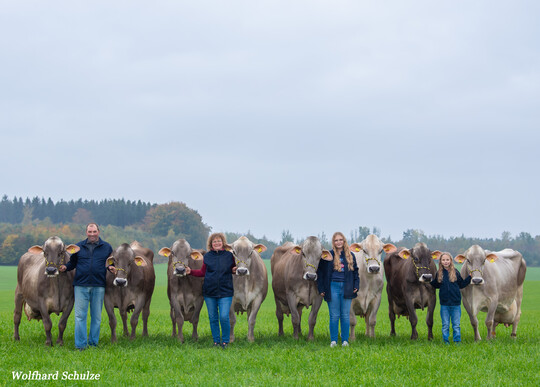 ber 100.000 Kilogramm Milch knnen diese Khe auf dem Betrieb von Familie Schmaus in Haslach bei ihrer Lebensleistung verbuchen (v.l.n.r.): Lolita (Vanpari) 107.062 kg, Napoli (Vapiano) 104.192 kg, Taube (Vasir) 120.148 kg, Lava (Vigor) 104.497 kg, Lama (Vanpari) 107.414 kg, Sindy (Payssli) 102.412 kg, Neckar (Huxoy) 103.169 kg und Natalie (Huray) 140.473 kg.