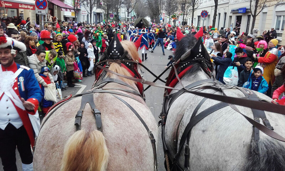 Der Einsatz von Pferden im Karneval erntet viel Kritik. Das neue Gütezeichen soll Pferdenutzern den vorbildlichen und fachgerechten Umgang mit ihren Tieren bestätigen und sie so vor Anfeindungen schützen. Foto: Daniel Hoffmann