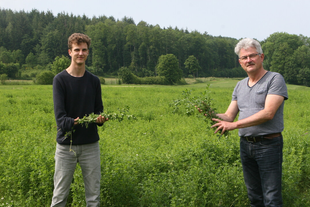 Im Anbau von Leguminosen wie der Luzerne sehen Philip Khler (l.) und Wilhelm Wurth vom LAZBW Aulendorf eine Mglichkeit, Futterlcken bei Trockenheit zu schlieen. 