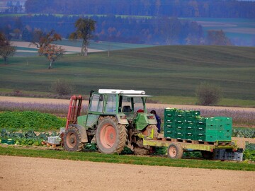 Wetterextreme mit bermiger Trockenheit oder aber zu groer Nsse waren die Ursachen fr teilweise erhebliche Ertragseinbuen