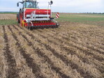 Mit der Streifenbodenbearbeitung wird derzeit ein neues, in den Vereinigten Staaten von Amerika entwickeltes Verfahren untersucht.
