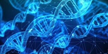 Die DNA kann mittels Genome Editing gezielt bearbeitet werden. Nachdem ein Forschungsprogramm des Wissenschaftsministeriums zurckgezogen wurde, setzt sich nun eine Gruppe Forschender fr die Bedeutung des Verfahrens in der Landwirtschaft ein.