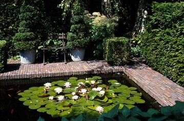 In jedem Garten findet sich Platz fr Wasser.