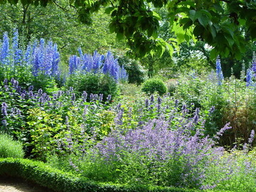 Artenvielfalt im Garten.