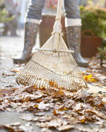 Was tun mit all dem Herbstlaub?