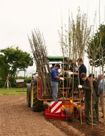 Ein Praktikum verschafft Einblicke in den Beruf.