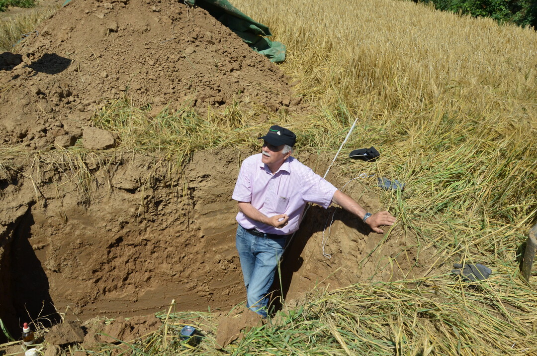 Kartoffel-Feldtag in Leingarten