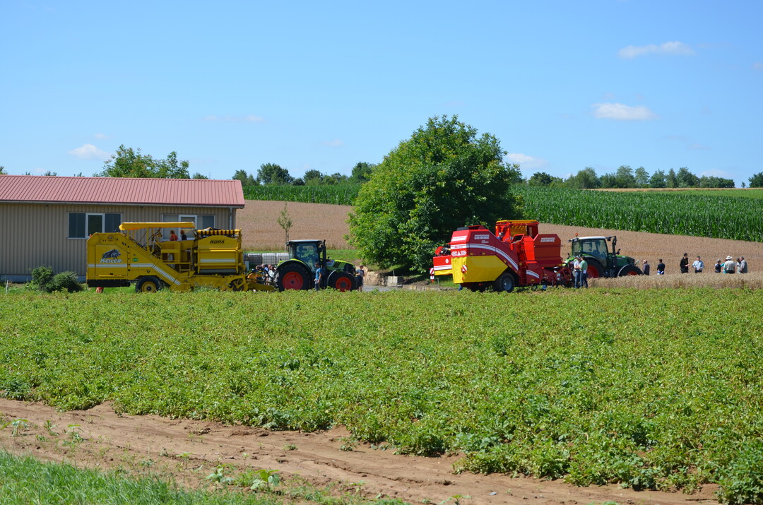 Kartoffel-Feldtag in Leingarten