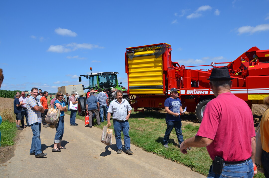 Kartoffel-Feldtag in Leingarten