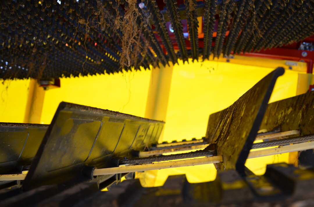 Kartoffel-Feldtag in Leingarten