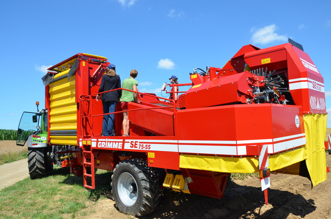 Kartoffel-Feldtag in Leingarten