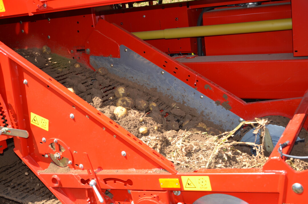 Kartoffel-Feldtag in Leingarten