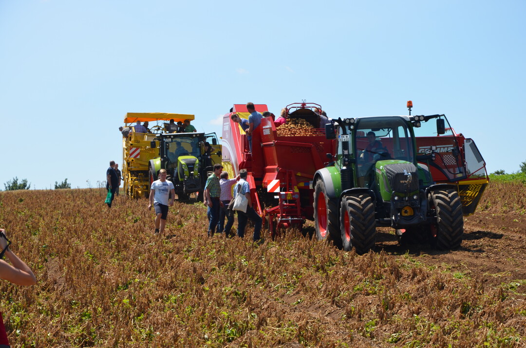 Kartoffel-Feldtag in Leingarten