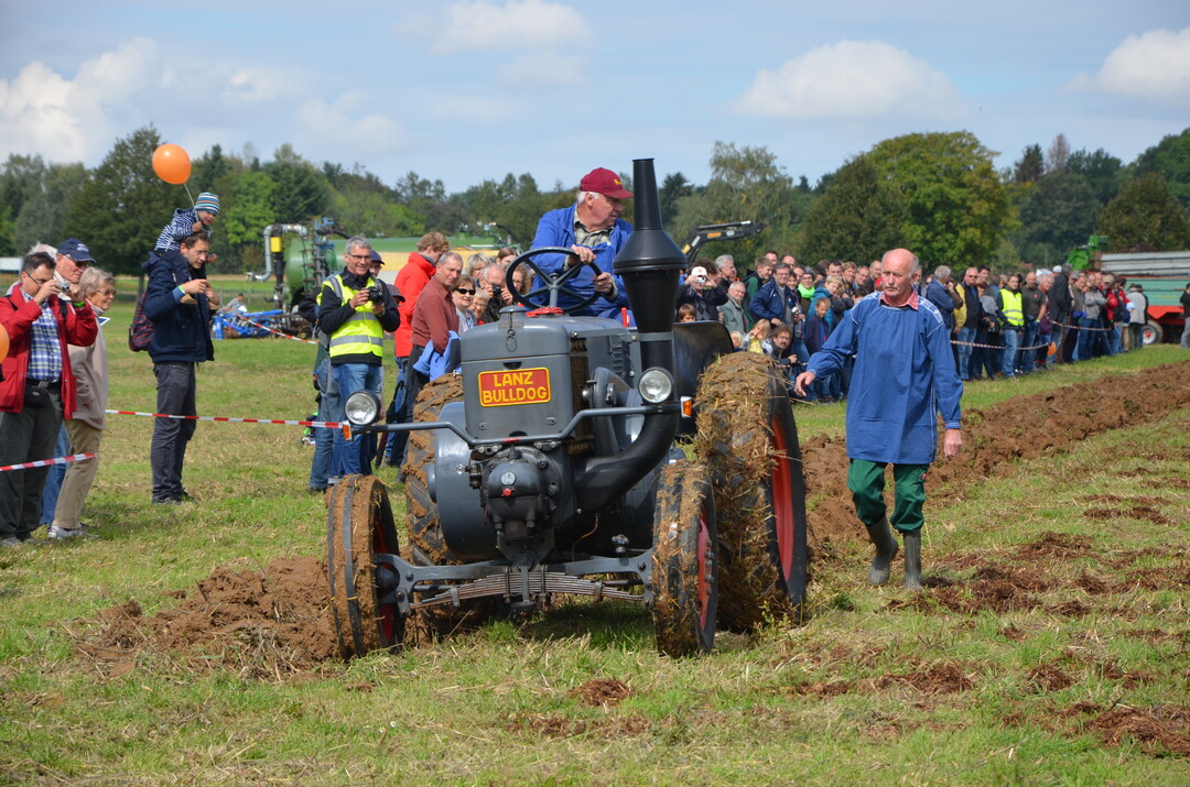 Einarbeitung mit einem Beetpflug.