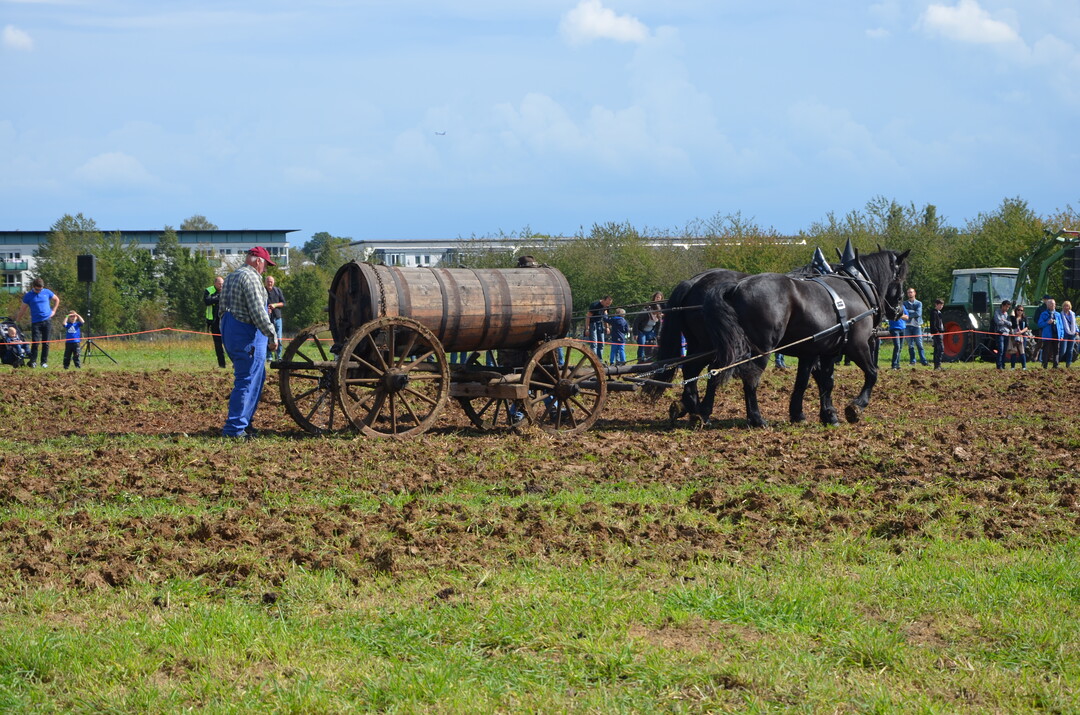 Kontinuierlich luft Glle aus dem gezogenen Fass.