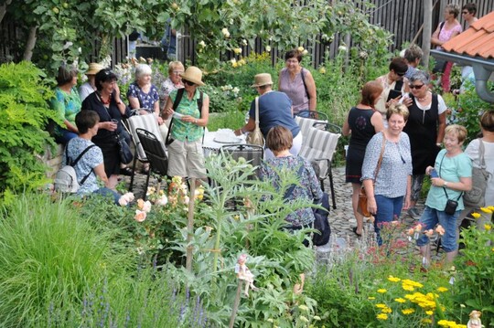 Im Garten von Judith Ksel