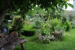 Im Garten von Gerhard und Petra Knaus