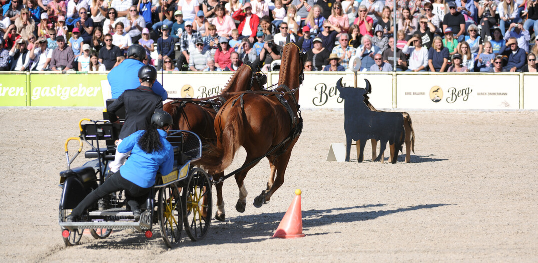 Geschickt durch den Parcours Drei Reiter-Fahrer-Teams lieferten sich packende Duelle in einem anspruchsvollen Speedtrail, der in der sdeuropischen Arbeitsreitweise Working Equitation geritten wird, und einem kniffligen Fahrparcours und riefen bei der Premiere Begeisterungsstrme auf den Rngen aus.