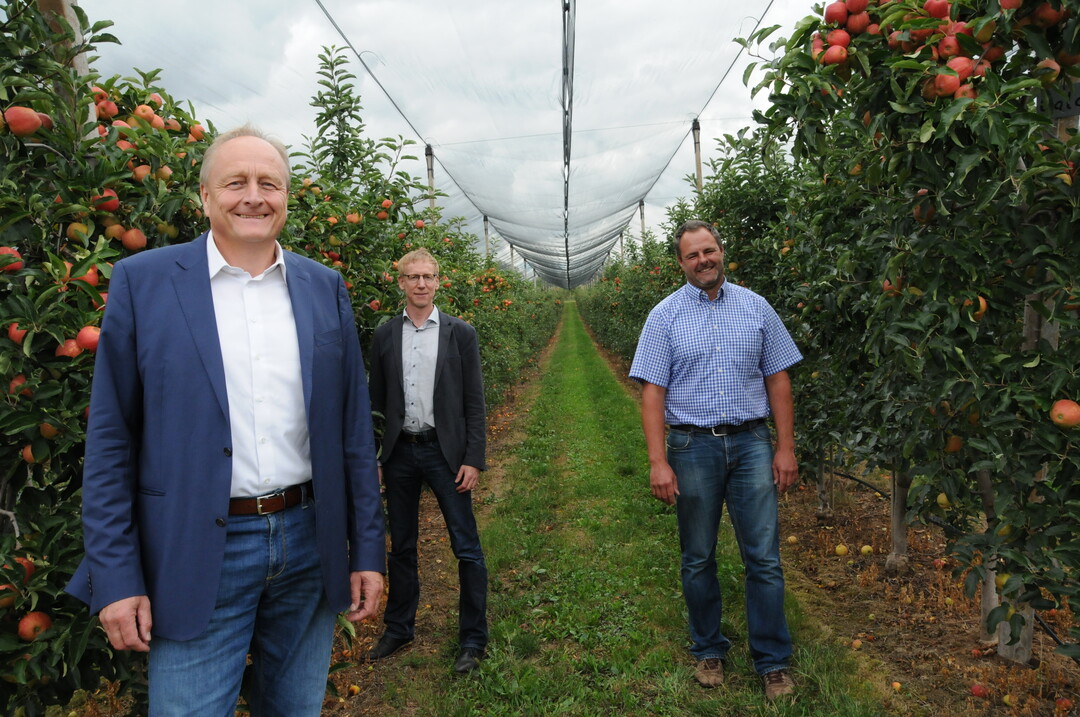 Stellen eine durchschnittliche Ernte fr Baden-Wrttemberg fest: v. l. LBV-Prsident Joachim Rukwied, LBV-Geschftsfhrer Marco Eberle und Landwirt Jens Bauer vom Apfelparadies Bauer