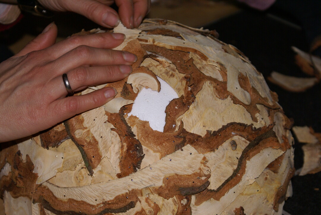 Schale aus Christbaumspnen - Verarbeitung