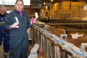 Tierrztin Nina Siegmund demonstriert auf dem Hof von Familie Bler in Markgrningen die Impfung gegen die Blauzungenkrankheit.