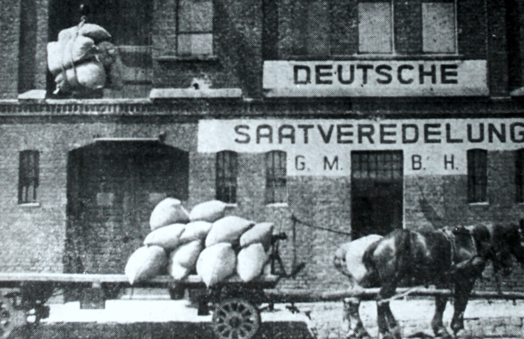 Grndung 1923: Heute ist die DSV Gruppe ein international erfolgreiches Pflanzenzchtungs- und Saatgutunternehmen mit Tochtergesellschaften in Polen, Frankreich, Grobritannien, der Ukraine, den Niederlanden, Dnemark, Kanada und Argentinien.