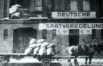 Grndung 1923: Heute ist die DSV Gruppe ein international erfolgreiches Pflanzenzchtungs- und Saatgutunternehmen mit Tochtergesellschaften in Polen, Frankreich, Grobritannien, der Ukraine, den Niederlanden, Dnemark, Kanada und Argentinien.