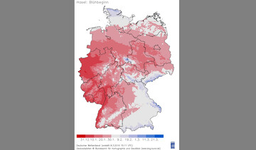 Blühbeginn Hasel 2016