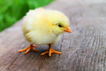 Landgericht Mnster lehnt Klage gegen Kkentten ab