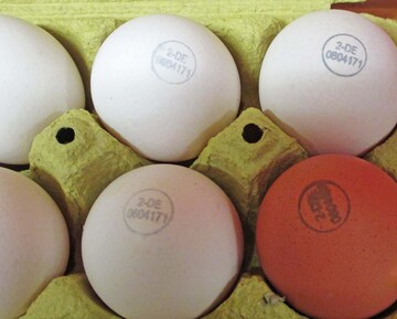 Eier mssen mit einem Erzeugercode gekennzeichnet sein, wenn sie auf dem Wochenmarkt verkauft werden.